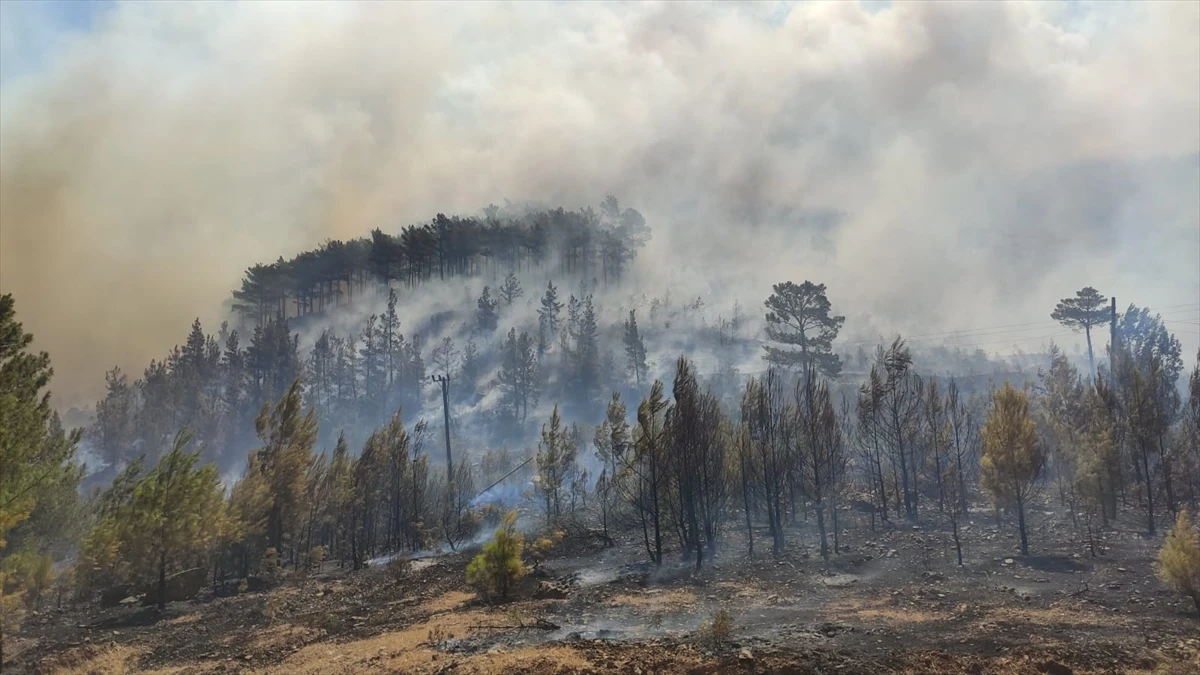 Mersin’de orman yangını: Evler boşaltıldı, Bakan Pakdemir'li olay yerinden takip etti
